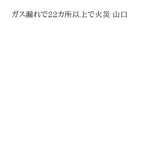 ガス漏れで22カ所以上で火災 山口