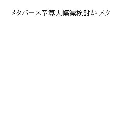 メタバース予算大幅減検討か メタ