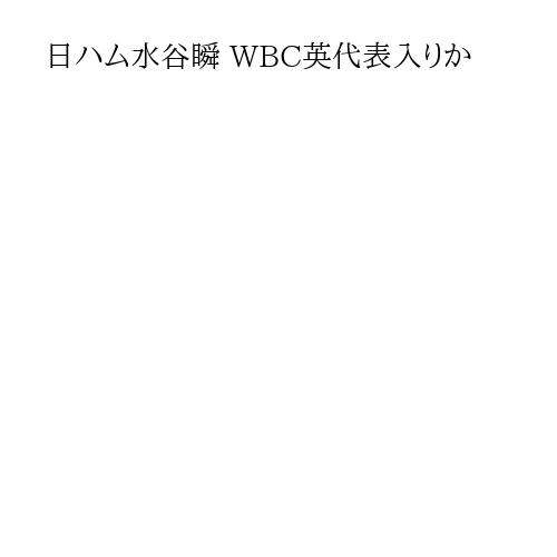 日ハム水谷瞬 WBC英代表入りか