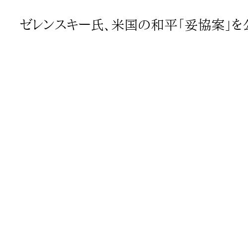 ゼレンスキー氏、米国の和平「妥協案」を公表　ドネツク州放棄否定…和平協議の難航続く