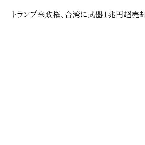 トランプ米政権、台湾に武器1兆円超売却へ　対中にらみ軍事支援　高機動ロケット砲など