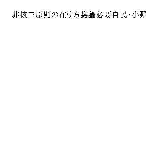 非核三原則の在り方議論必要自民・小野寺五典氏「核の傘」依存巡り