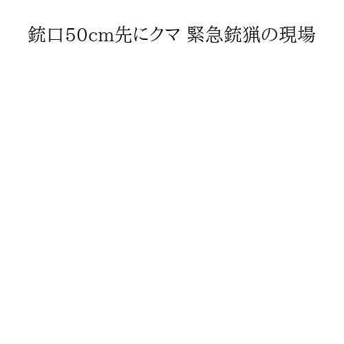 銃口50cm先にクマ 緊急銃猟の現場
