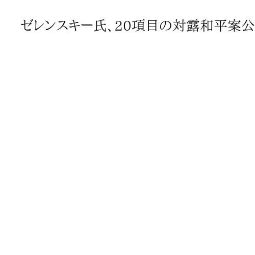 ゼレンスキー氏、20項目の対露和平案公表　主権維持や「安全の保証」規定、領土は未決着