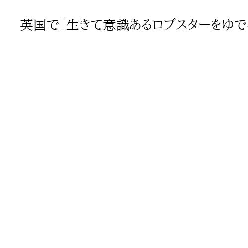 英国で「生きて意識あるロブスターをゆでる」調理法禁止へ　「行き過ぎた動物愛護」反発も