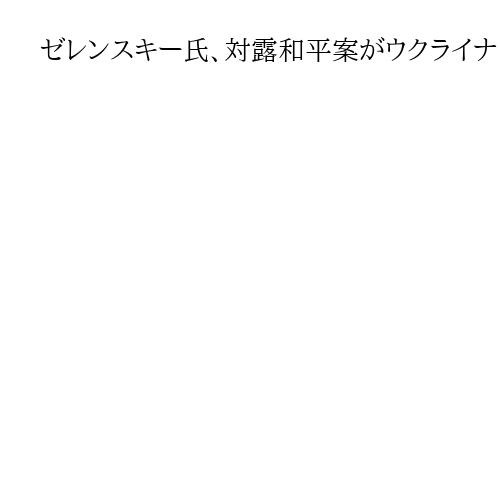 ゼレンスキー氏、対露和平案がウクライナに不利な内容なら「国民投票も」　妥協を示唆