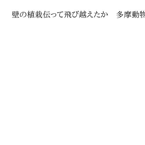 壁の植栽伝って飛び越えたか　多摩動物公園「脱走」オオカミ　年明け1月2日から開園へ