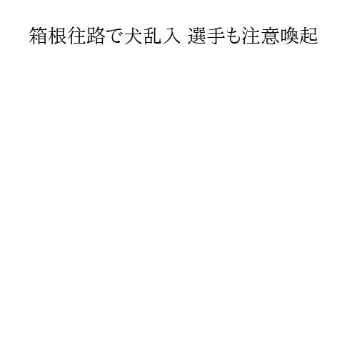 箱根往路で犬乱入 選手も注意喚起