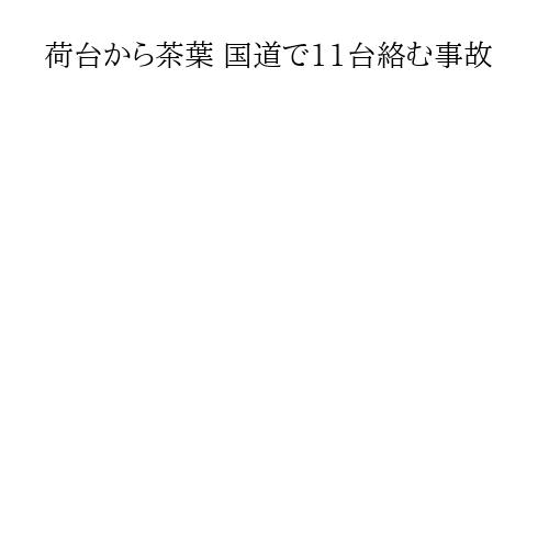 荷台から茶葉 国道で11台絡む事故
