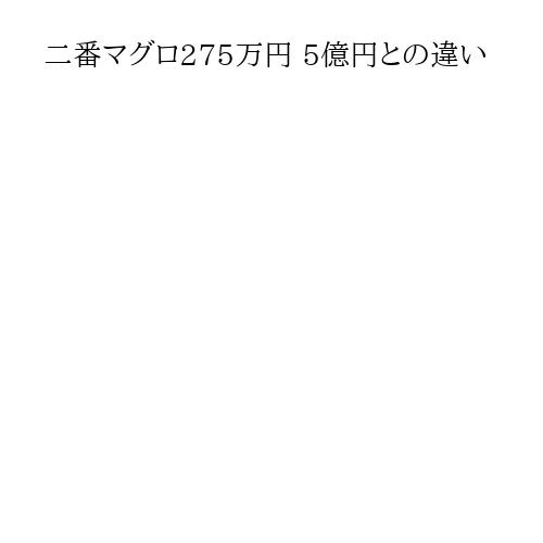 二番マグロ275万円 5億円との違い