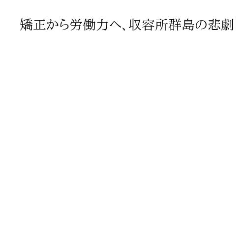矯正から労働力へ、収容所群島の悲劇　「仮想敵国のスパイ」にされた日本人