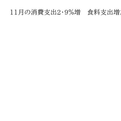 11月の消費支出2・9％増　食料支出増加、冬物衣料も堅調
