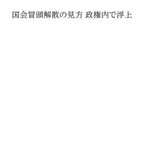 国会冒頭解散の見方 政権内で浮上