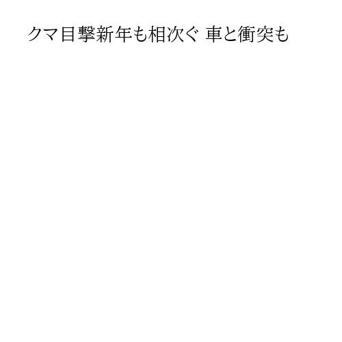 クマ目撃新年も相次ぐ 車と衝突も