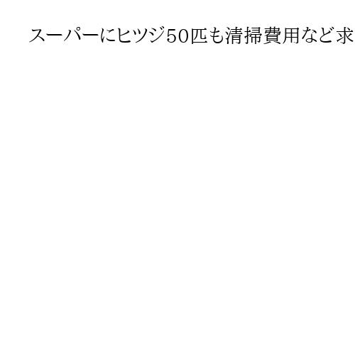 スーパーにヒツジ50匹も清掃費用など求めず　「注目集めてくれた」とえさ代援助へ
