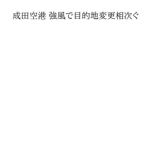 成田空港 強風で目的地変更相次ぐ