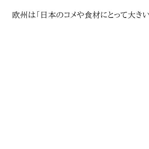欧州は「日本のコメや食材にとって大きい市場」　鈴木憲和農水相がパリでスーパーなど視察