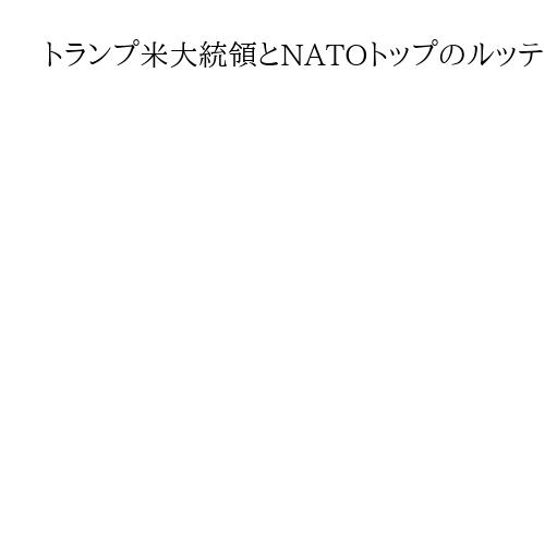 トランプ米大統領とNATOトップのルッテ事務総長が協議　グリーンランド巡り