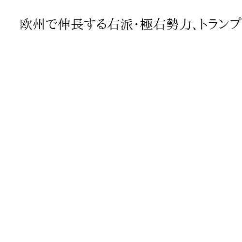欧州で伸長する右派・極右勢力、トランプ氏に共鳴　ポーランド大統領「大きな尊敬に値」