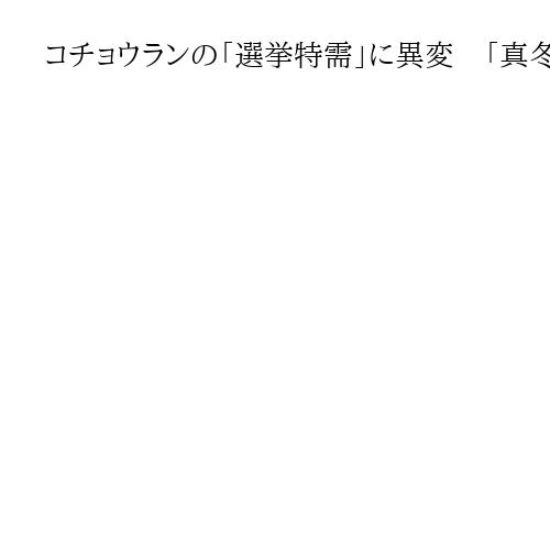 コチョウランの「選挙特需」に異変　「真冬の短期決戦」が需要下押し？　台湾業者やきもき