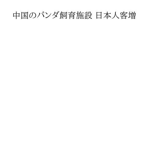 中国のパンダ飼育施設 日本人客増