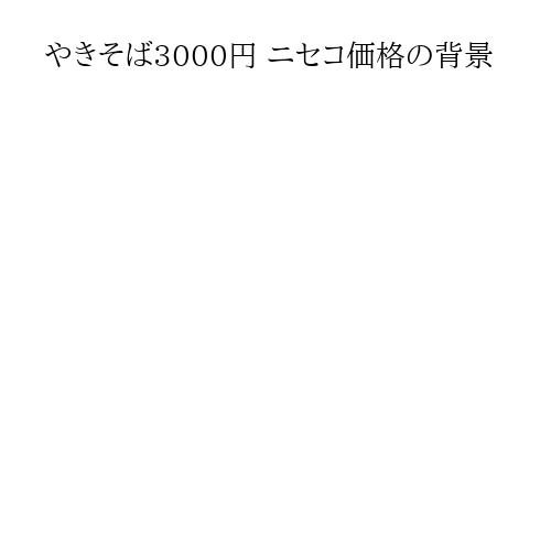 やきそば3000円 ニセコ価格の背景