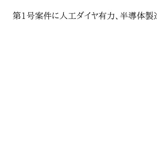 第1号案件に人工ダイヤ有力、半導体製造にも使用　関税交渉合意の対米投資、電力関連も
