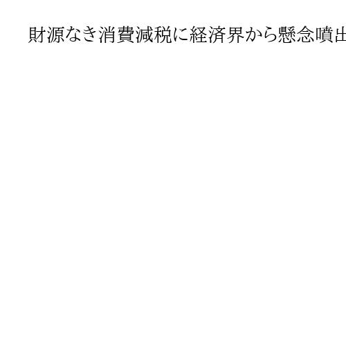 財源なき消費減税に経済界から懸念噴出　識者からは政策効果など疑問視の声も