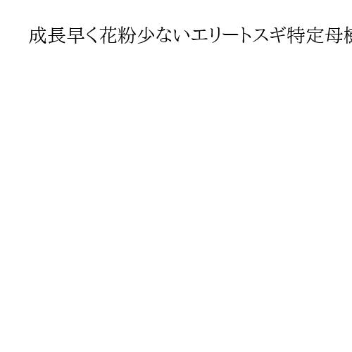成長早く花粉少ないエリートスギ特定母樹　国内最大の採種ハウスが日本製紙秋田工場に完成