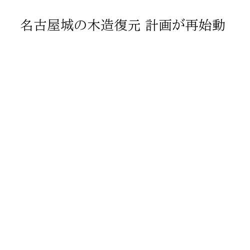 名古屋城の木造復元 計画が再始動