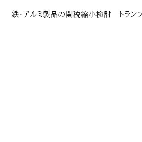 鉄・アルミ製品の関税縮小検討　トランプ米政権、価格高騰に消費者不満　英紙報道