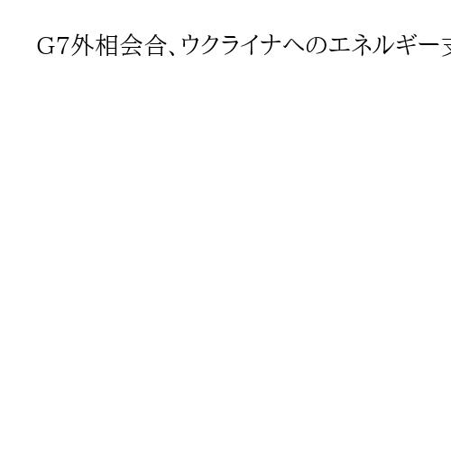 G7外相会合、ウクライナへのエネルギー支援を確認　ドイツで安全保障会議に合わせ開催