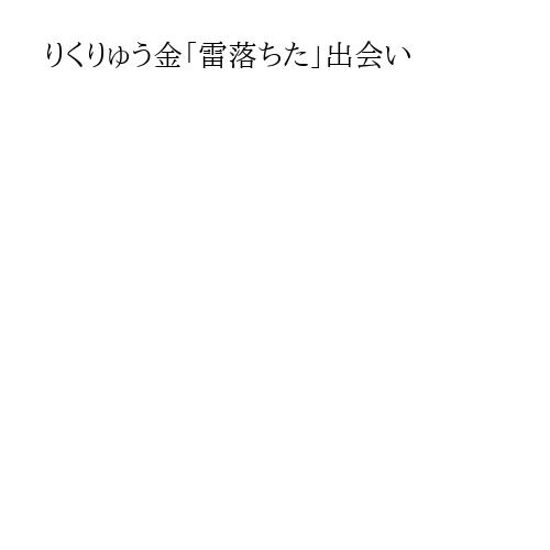 りくりゅう金「雷落ちた」出会い