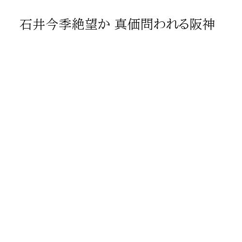 石井今季絶望か 真価問われる阪神