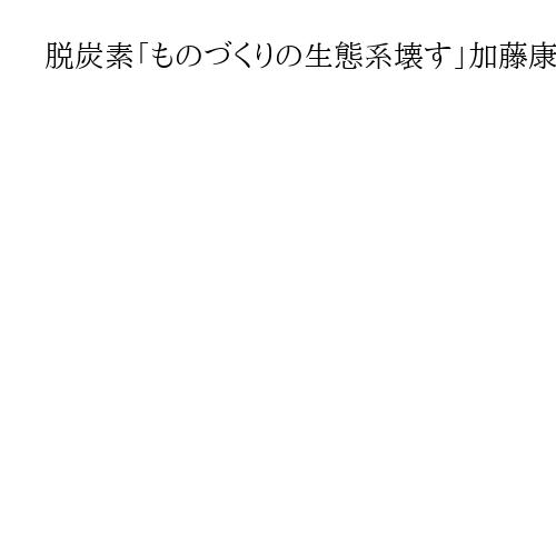 脱炭素「ものづくりの生態系壊す」加藤康子参与　「鉄スクラップは新たな戦略物資」（下）