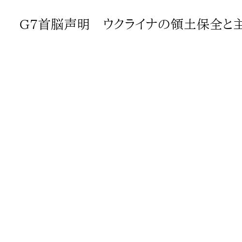 G7首脳声明　ウクライナの領土保全と主権に「揺るぎない支持」表明