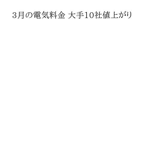 3月の電気料金 大手10社値上がり