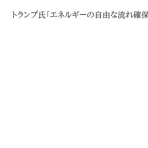 トランプ氏「エネルギーの自由な流れ確保するつもり」　ホルムズ海峡でタンカーの護衛検討