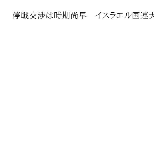 停戦交渉は時期尚早　イスラエル国連大使が会見「イランのテロの構造を破壊しなければ」
