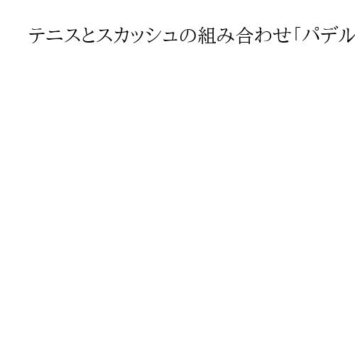 テニスとスカッシュの組み合わせ「パデル」を追加実施　名古屋アジア大会、競技数43に