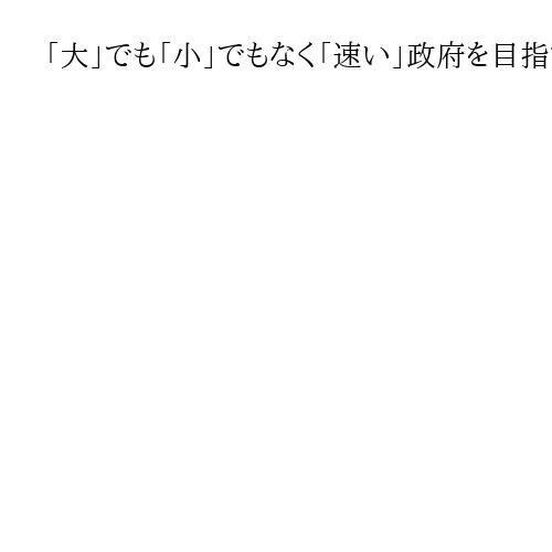 「大」でも「小」でもなく「速い」政府を目指すチームみらいへの注文