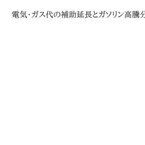 電気・ガス代の補助延長とガソリン高騰分の補助提唱　国民民主が緊急の物価高対策