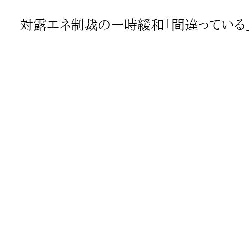 対露エネ制裁の一時緩和「間違っている」とメルツ独首相　トランプ政権発表に欧州反発