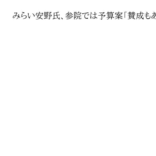 みらい安野氏、参院では予算案「賛成もありうる」　衆院では反対、イラン情勢など指摘