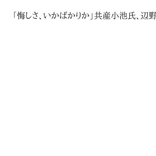 「悔しさ、いかばかりか」共産小池氏、辺野古転覆死の女子生徒へ　船長の責任は「当局で」