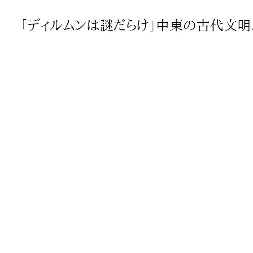 「ディルムンは謎だらけ」中東の古代文明、最古級の王墓発見　日本のグループが報告