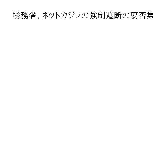 総務省、ネットカジノの強制遮断の要否集約難しく　違法性周知の「包括的対策」にとどまる