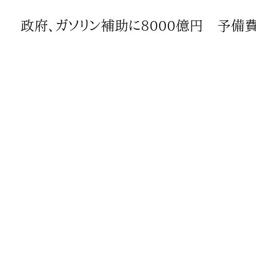政府、ガソリン補助に8000億円　予備費活用へ24日にも閣議決定