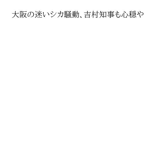 大阪の迷いシカ騒動、吉村知事も心穏やかならず　「シカさんが安全に暮らせる場所を」