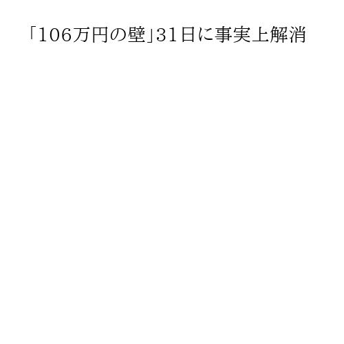 「106万円の壁」31日に事実上解消